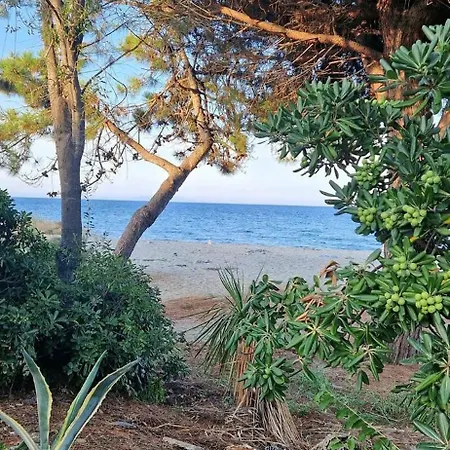 Moderne - Accès Privée Et Piscine Appartement San-Nicolao